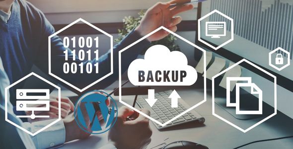 Why Need a Backup for Website